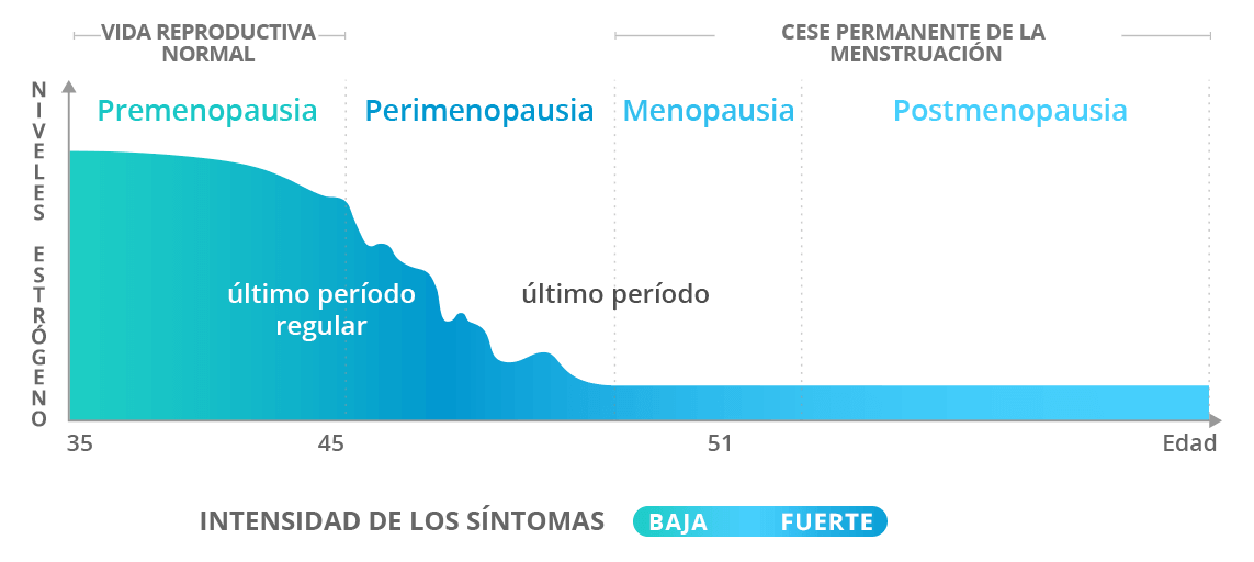 Niveles de estrógeno a través de las etapas reproductivas