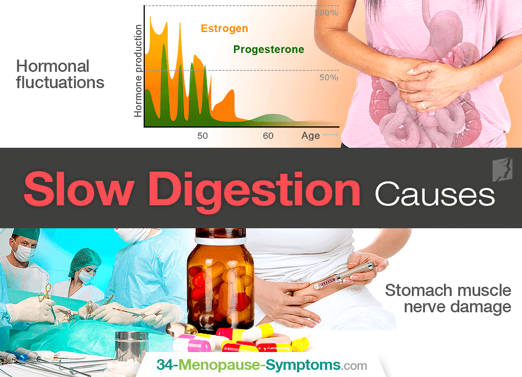 Slow digestion