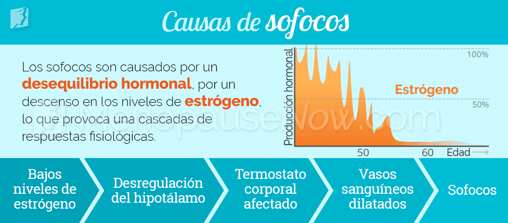 Causas de sofocos