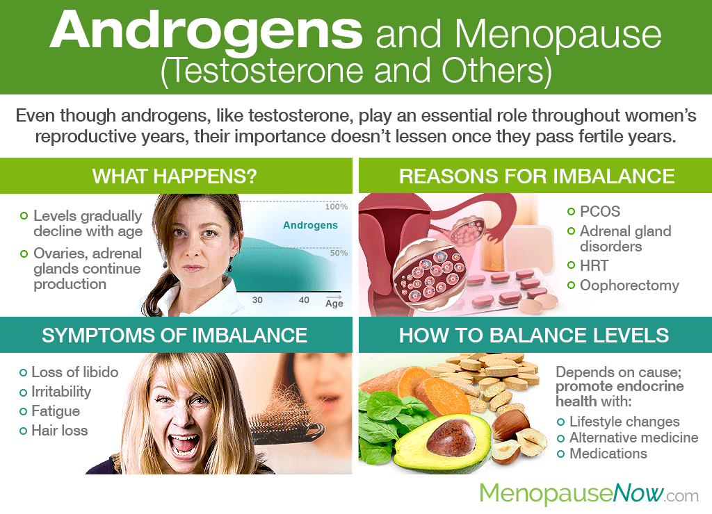 Androgens And Menopause Testosterone And Others Menopause Now