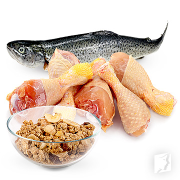 vitamin B12