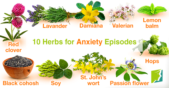 10 Herbs for Anxiety Episodes