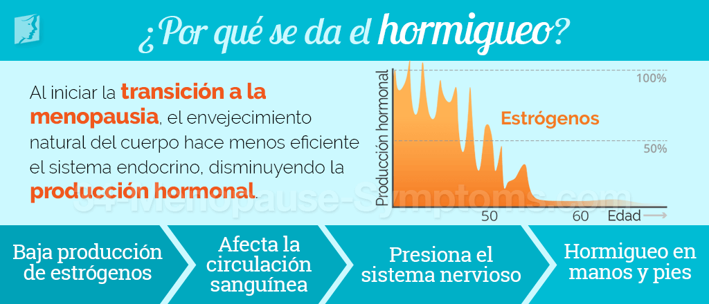 Causas del hormigueo en las manos y pies