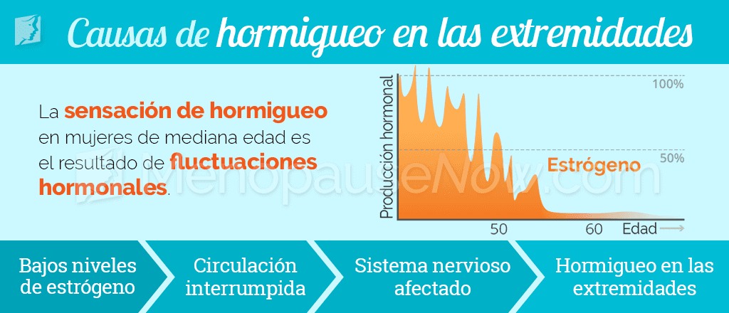 Causas del hormigueo en las manos y pies