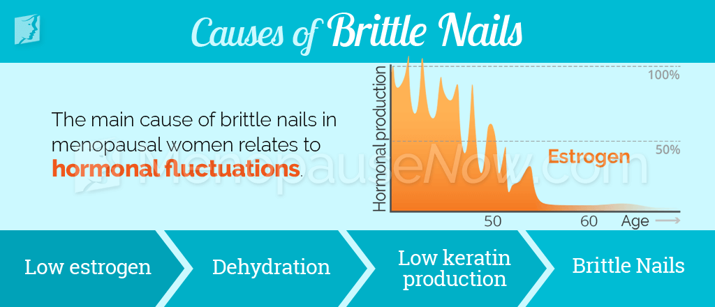 Causes of brittle nails