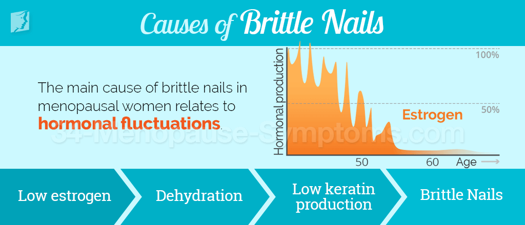 Causes of brittle nails