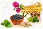 Herbal Remedies during Perimenopause
