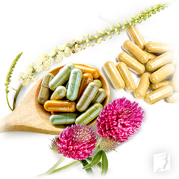phytoestrogenic