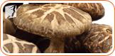 Eating Shiitake Mushrooms to Deal With Your Menopausal Fatigue1