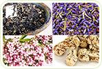 4 Herbal Teas for Memory Lapses