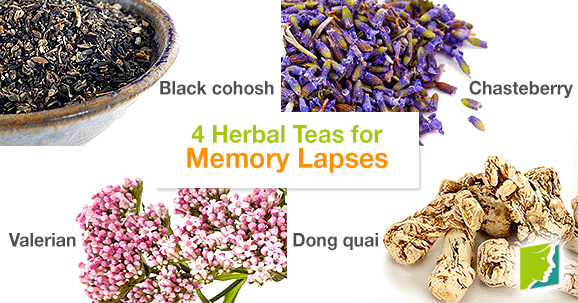 4 Herbal Teas for Memory Lapses