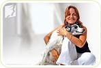 5 Tips to Prevent Allergies from Pets during Menopause