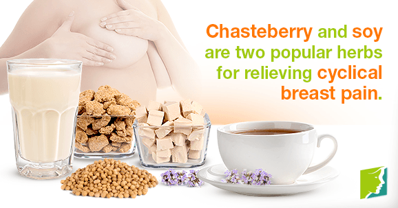 Chasteberry and soy are two popular herbs for relieving cyclical breast pain.