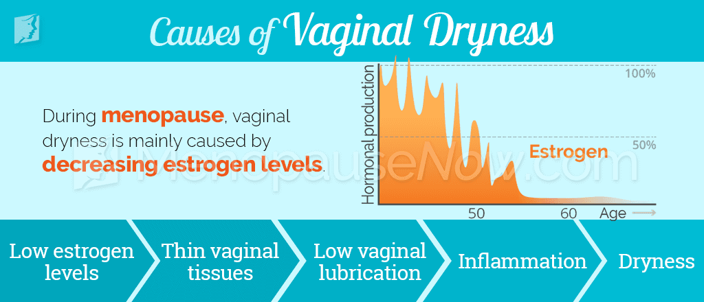 Causes of vaginal dryness