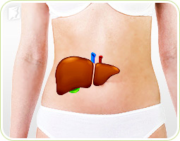 Early Menstrual Period Causes