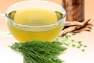 Herbs for Incontinence