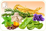 7 Herbs for Hair Growth