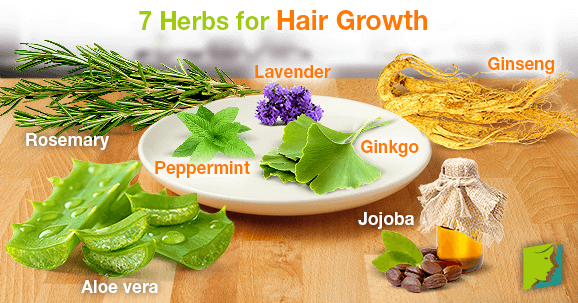 Hair Skin  Nails Supplement  PurityTested Herbal Beauty Support Gaia  Herbs