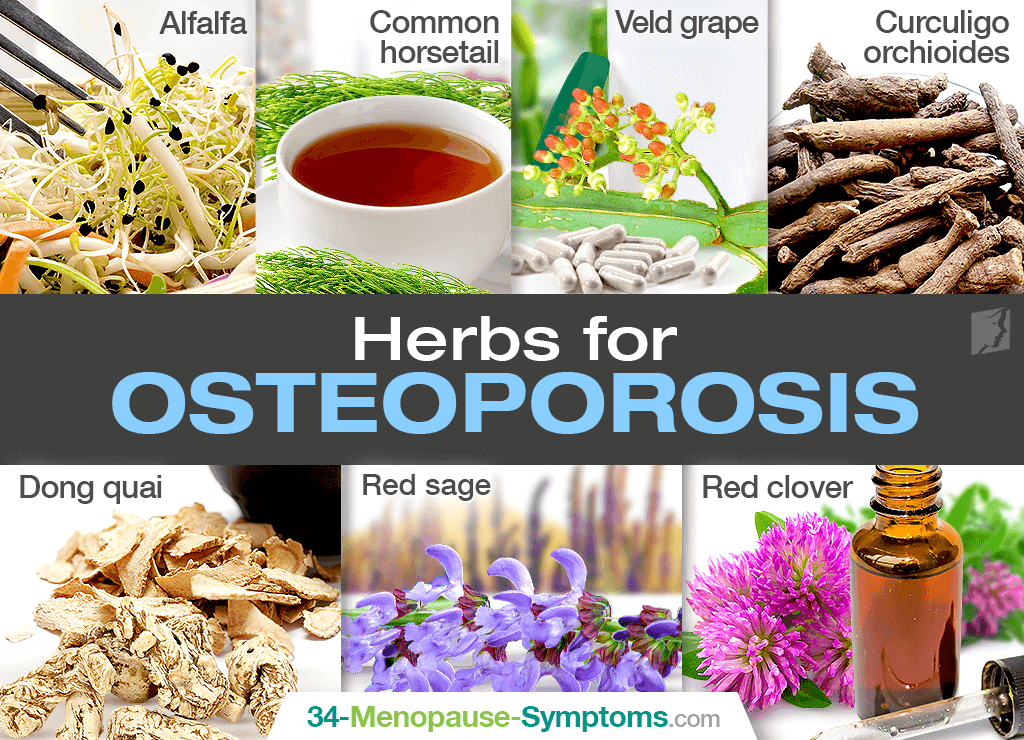 Herbs for Osteoporosis