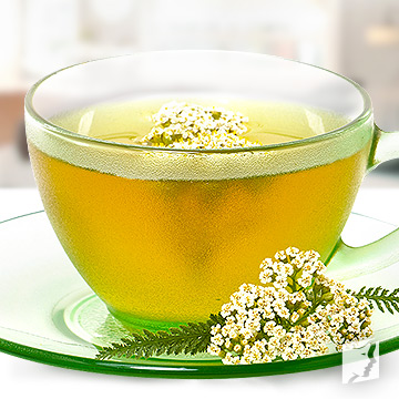 prepare yarrow tea