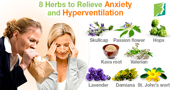 8 Herbs to Relieve Anxiety and Hyperventilation