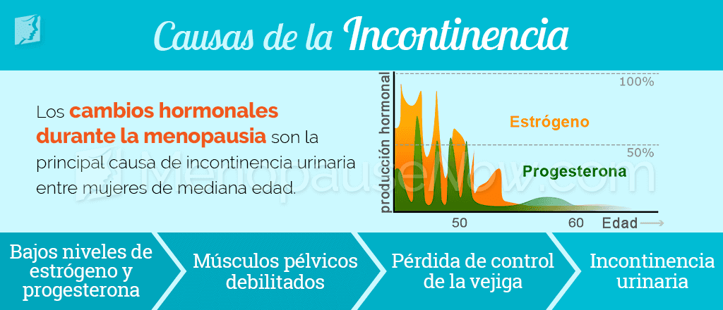 Causas de la incontinencia