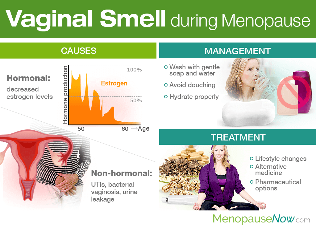 Vaginal Smell During Menopause Menopause Now 