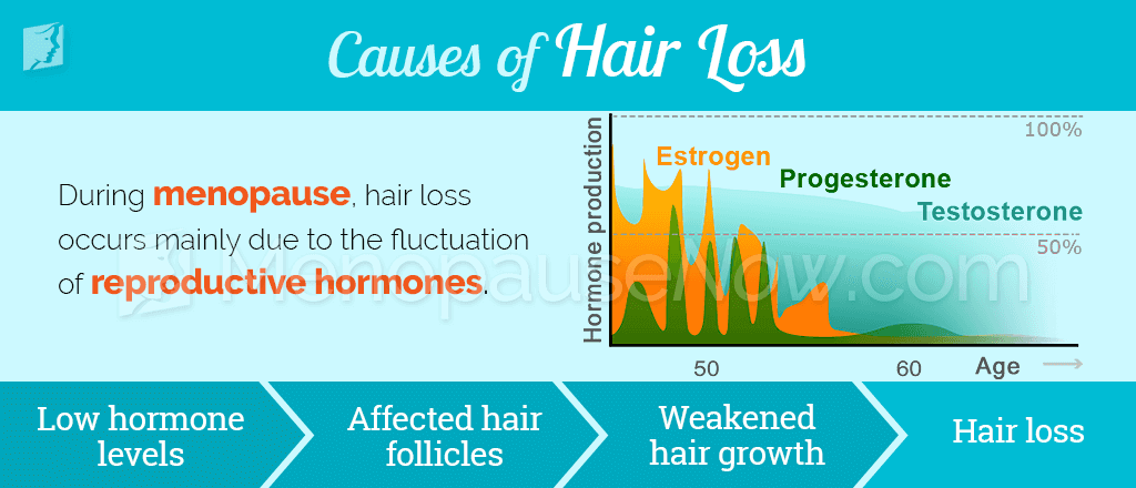 Causes of Hair Loss