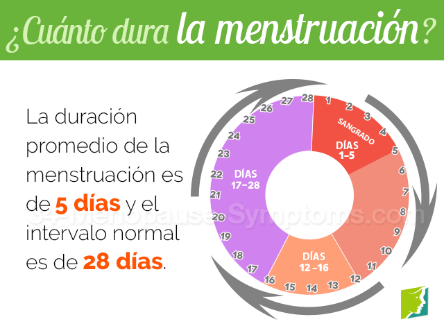 Cuanto tiempo dura la menstruación