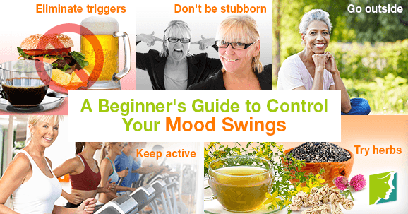 A Beginner's Guide to Control Your Mood Swings