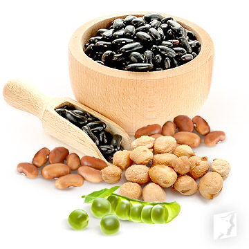Diet for Menopause