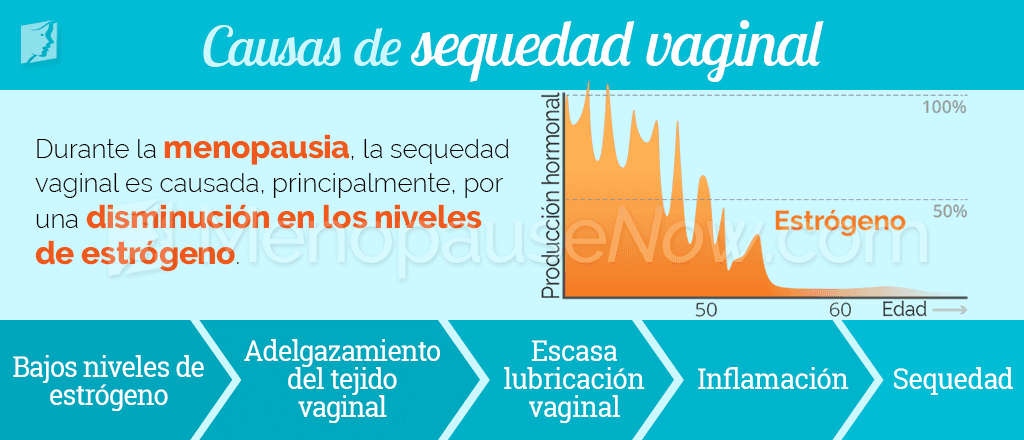 Causas de la sequedad vaginal