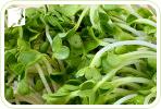 Eating Watercress to Help Prevent your Menopausal Bloating
