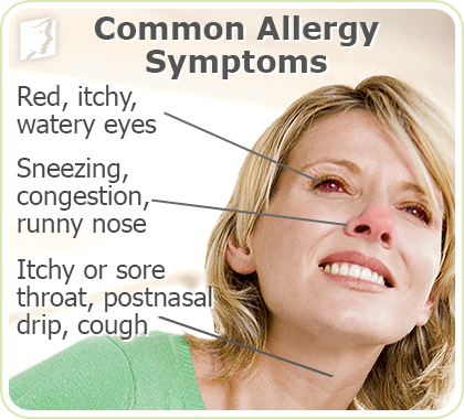 Common Allergy Symptoms