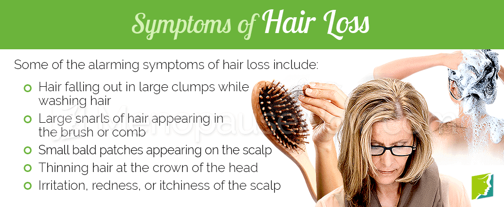 Hair Loss Symptom Information | Menopause Now