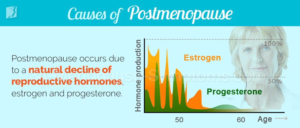 Causes of postmenopause