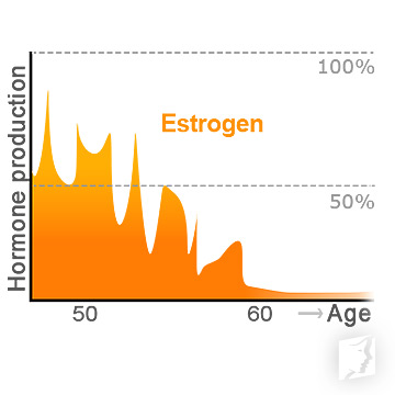 Estrogen levels during menopause