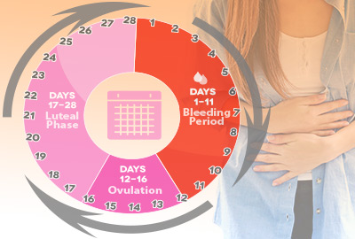 Menstrual Period Calendar: Keeping Track