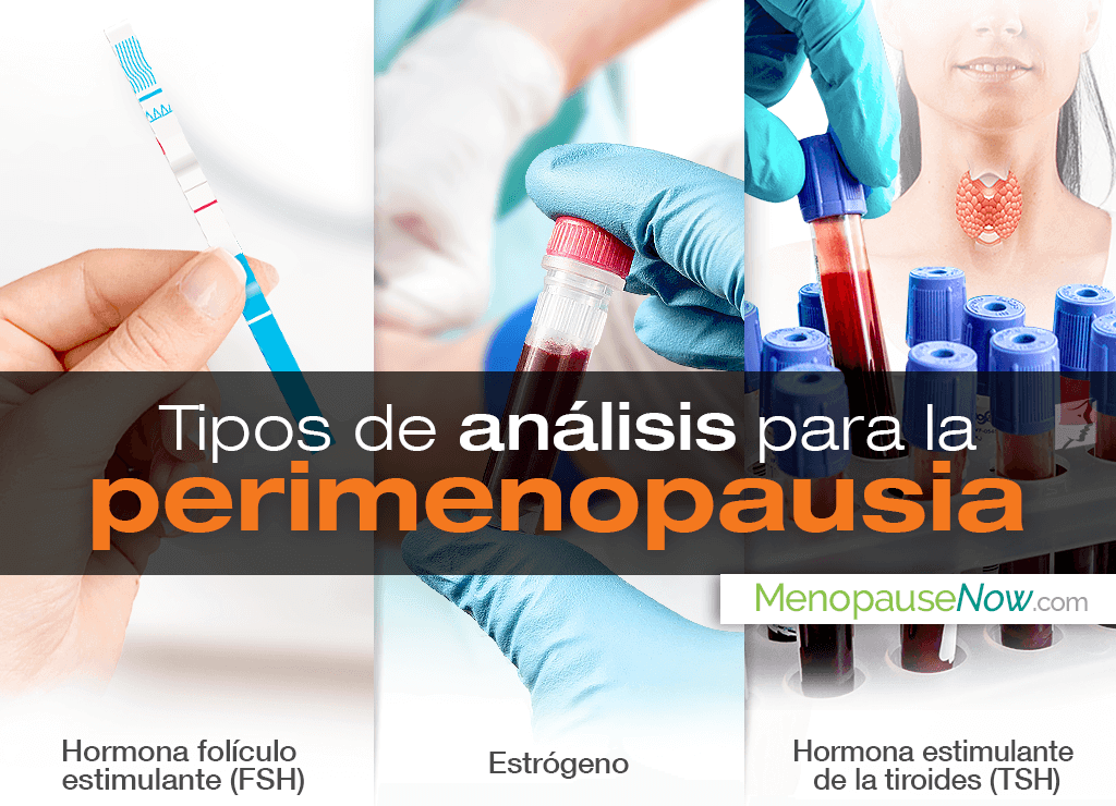 ¿Cómo saber si estoy en la perimenopausia?