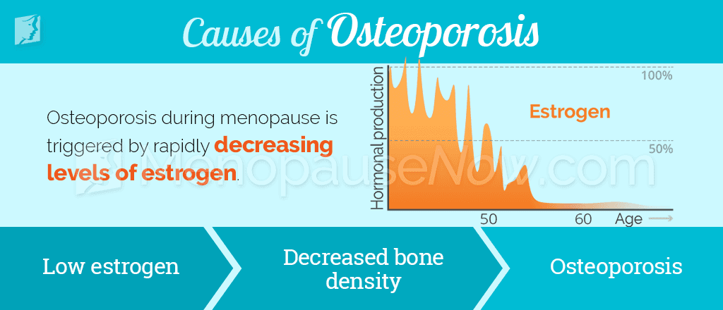 Causes of osteoporosis