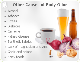 Other Causes of Body Odor