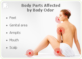 Body Parts Affected by Body Odor