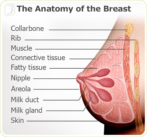 Breast Tenderness during Missed Period