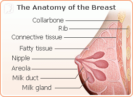 Q&A: Breast Tenderness