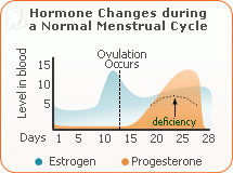 breast pain menstrual