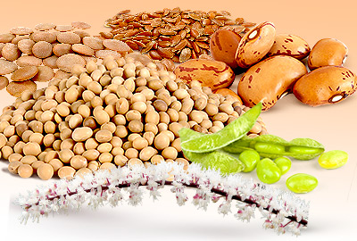 5 Common Medications for Night Sweats