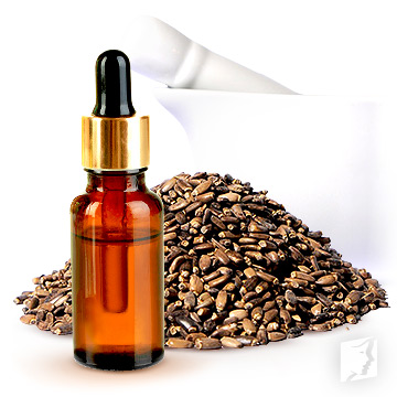 milk thistle