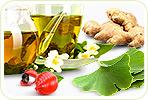 Can Herbal Supplements Help to Lose Weight?