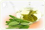 Can Sage Help Night Sweats?