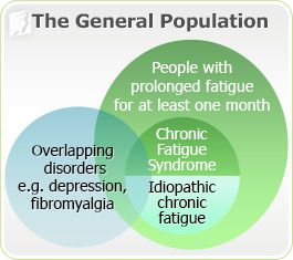 The General Population